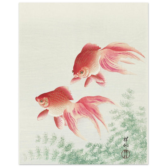 e50d01ac-dd58-4469-a212-7a2b4700c455